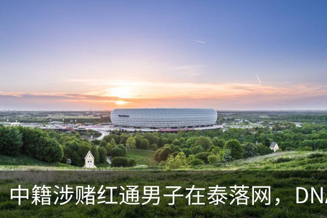 中籍涉赌红通男子在泰落网，DNA检测意外牵出新疑点